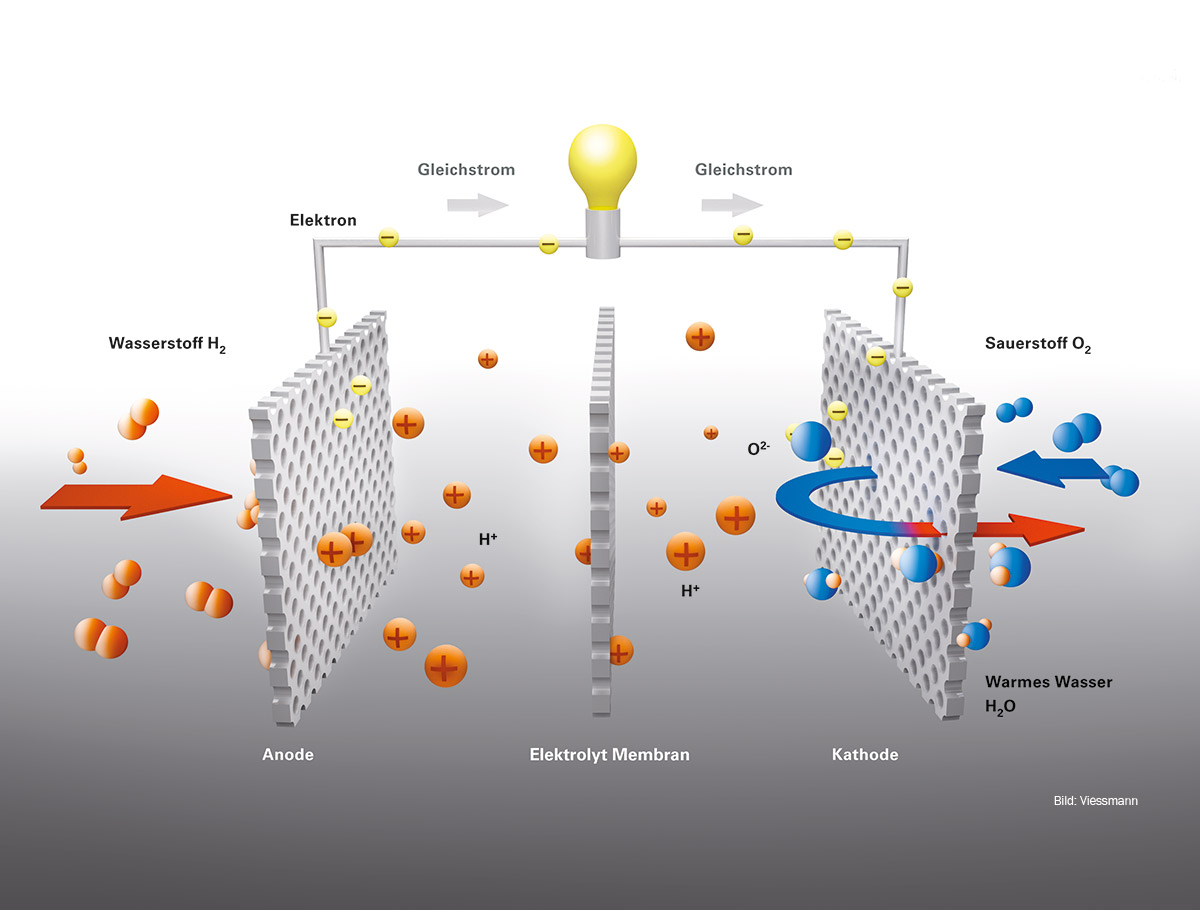 Pellet Wassermann Service